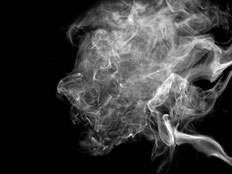 Adolescentes e crianças que vivem com fumantes podem apresentar problemas decorrentes do cigarro. Pesquisasadores afirmam que o fumo passivo também prejudica a saúde arterial de pessoas que vivem com fumantes....