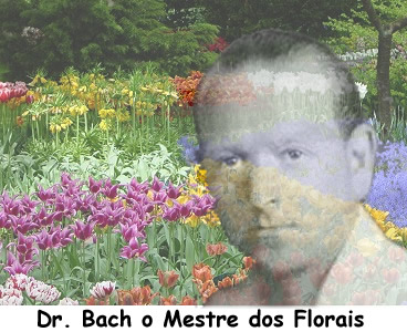 Um médico britânico, o dr. Edward Bach, acreditava que as flores tinham um considerável poder de cura. Ele sugeriu que elas só deviam ser colhidas ao amanhecer, em perfeitas condições...