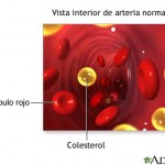 O que é colesterol?