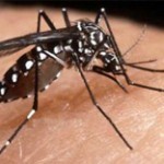 O que devo fazer se achar que estou com dengue?