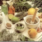 Plantas medicinais: introdução