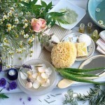 Plantas medicinais:as plantas que combatem doenças